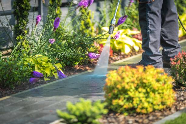 Best Sidewalk and Walkway Cleaning  in Breckenridge, MN